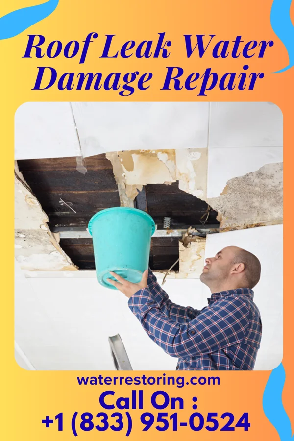 Roof Leak Water Damage Repair in Agenda, KS